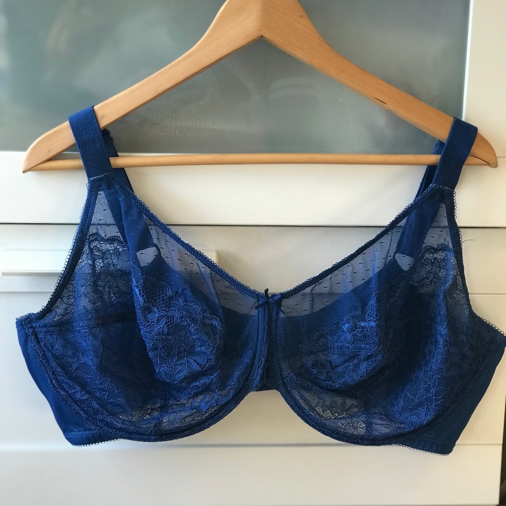 HSIA Blue Lace Bra 42DDD EUC